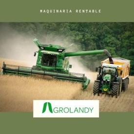 Triticale Anual Triticale de Semillas Batlle