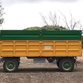 Recoleccion integral o de apoyo de aceitunas y almendra