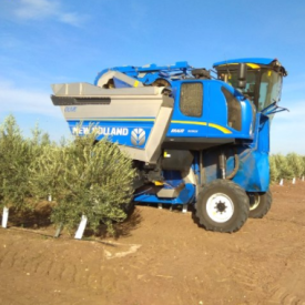 Cosechadora superintensivo New Holland para aceituna almendra y cualquier cultivo en espaldera