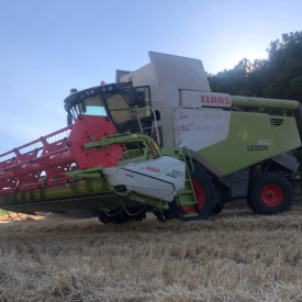 Servicio de cosechadora para cereal girasol y maíz