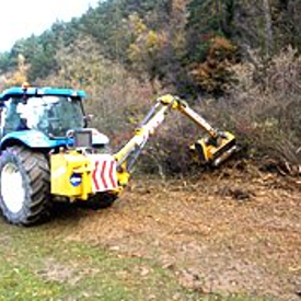 Servicio de Desbrozado Forestal