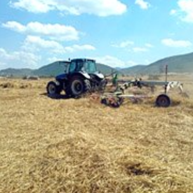 Trabajos de siega y empacado