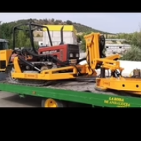 Recolecion de acetuna y almendra con vobro o paraguas