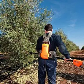 Alquiler de maquinitas pellenc elecetricas para recoleccion de aceitunas