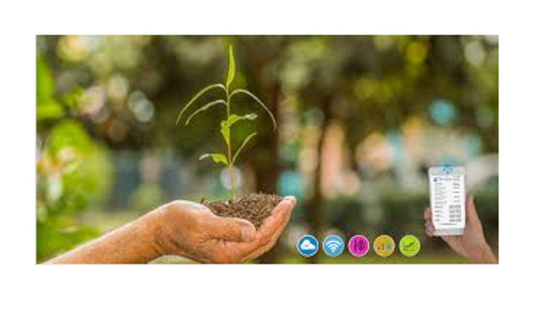 El título de abono más barato en 2021 se lo lleva la biofertilización